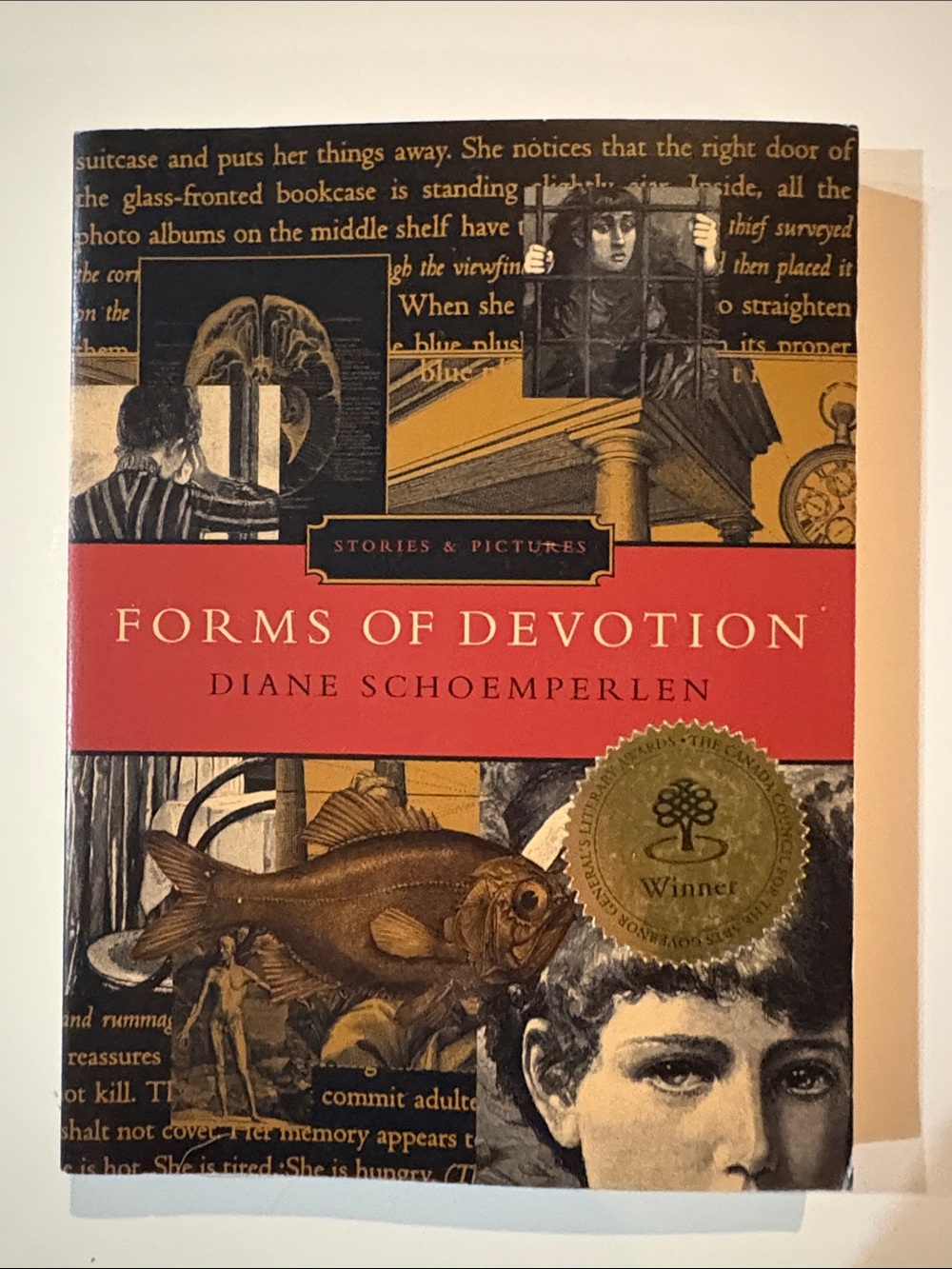 Forms of Devotion by Diane Schoemperlen - Red & Gold Cover